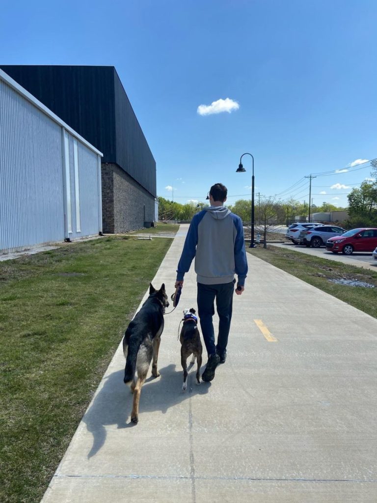 Walking On Leash Photo